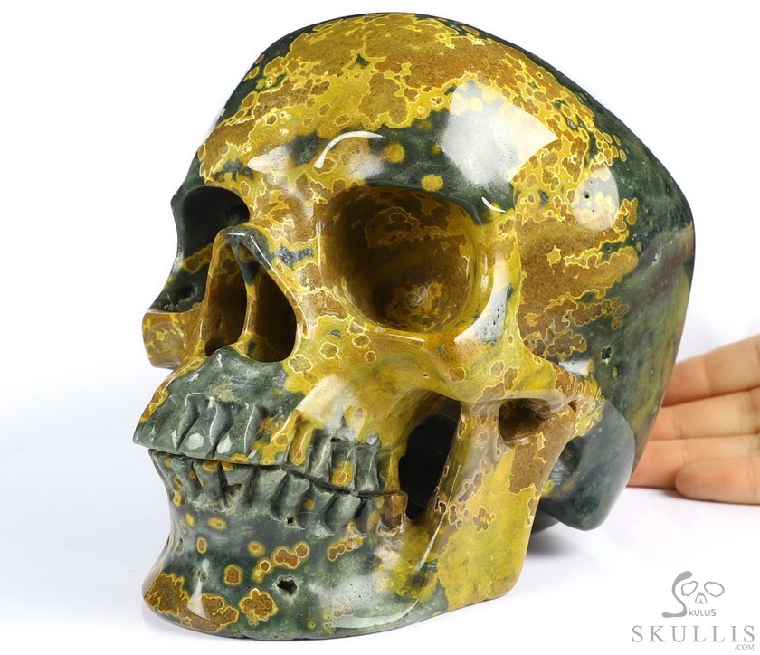 Lifesized 7.0" Ocean Jasper Carved Crystal Skull,Realistic, Crystal Healing Lifesized 7.0" Ocean Jasper Carved Crystal Skull,Realistic, Crystal Healing