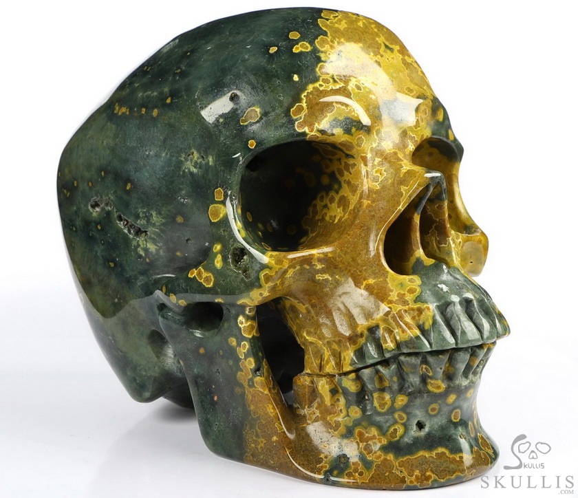 Lifesized 7.0" Ocean Jasper Carved Crystal Skull,Realistic, Crystal Healing Lifesized 7.0" Ocean Jasper Carved Crystal Skull,Realistic, Crystal Healing