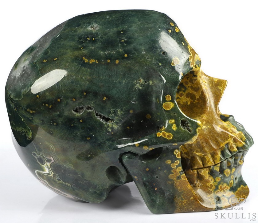 Lifesized 7.0" Ocean Jasper Carved Crystal Skull,Realistic, Crystal Healing Lifesized 7.0" Ocean Jasper Carved Crystal Skull,Realistic, Crystal Healing