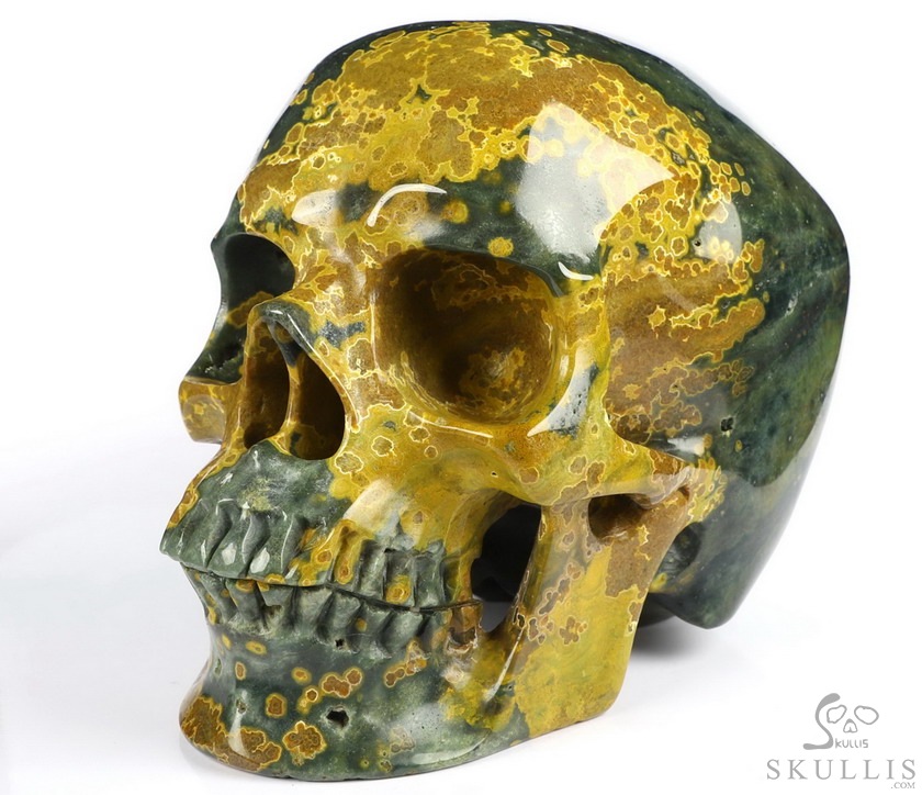 Lifesized 7.0" Ocean Jasper Carved Crystal Skull,Realistic, Crystal Healing Lifesized 7.0" Ocean Jasper Carved Crystal Skull,Realistic, Crystal Healing