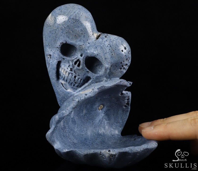 Love Forever 5.5" Blue Sponge Coral Carved Crystal Skull & Shell, Crystal Healing Love Forever 5.5" Blue Sponge Coral Carved Crystal Skull & Shell, Crystal Healing