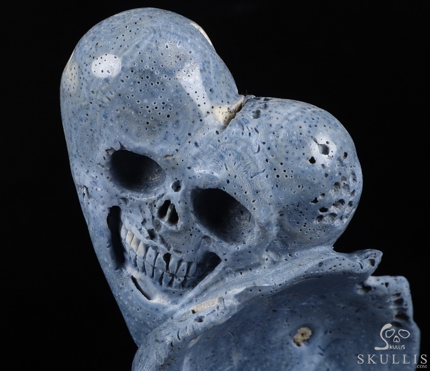 Love Forever 5.5" Blue Sponge Coral Carved Crystal Skull & Shell, Crystal Healing Love Forever 5.5" Blue Sponge Coral Carved Crystal Skull & Shell, Crystal Healing