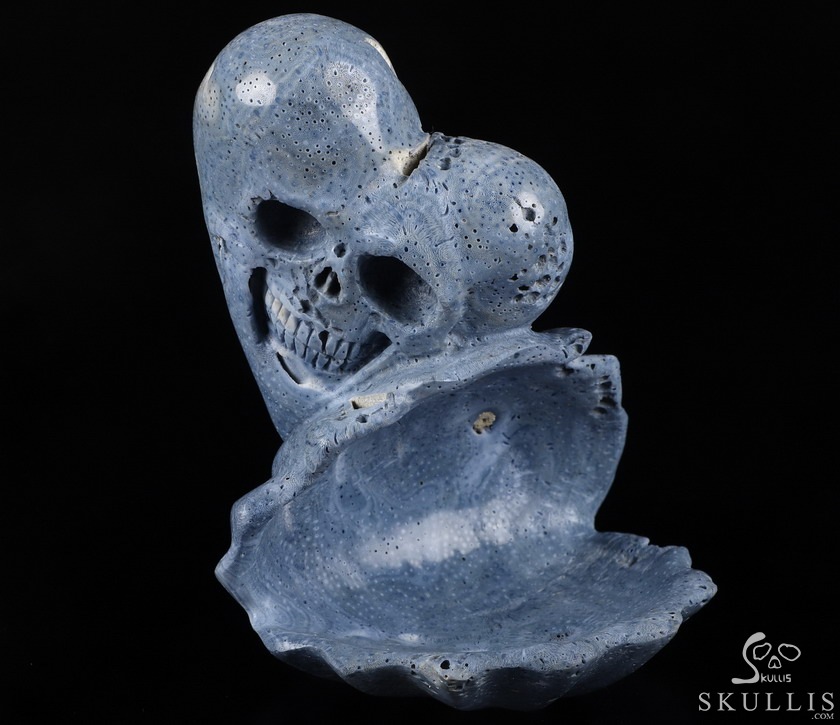 Love Forever 5.5" Blue Sponge Coral Carved Crystal Skull & Shell, Crystal Healing Love Forever 5.5" Blue Sponge Coral Carved Crystal Skull & Shell, Crystal Healing