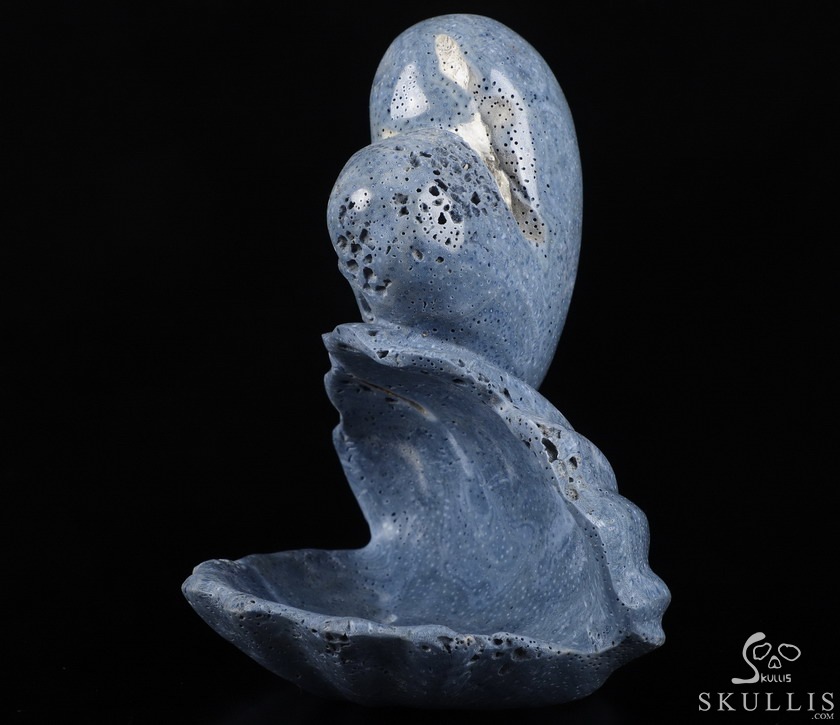 Love Forever 5.5" Blue Sponge Coral Carved Crystal Skull & Shell, Crystal Healing Love Forever 5.5" Blue Sponge Coral Carved Crystal Skull & Shell, Crystal Healing