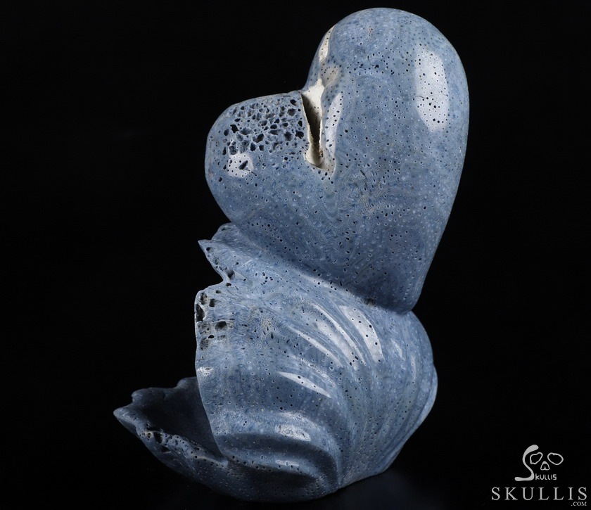Love Forever 5.5" Blue Sponge Coral Carved Crystal Skull & Shell, Crystal Healing Love Forever 5.5" Blue Sponge Coral Carved Crystal Skull & Shell, Crystal Healing
