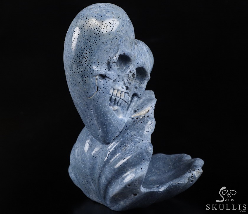 Love Forever 5.5" Blue Sponge Coral Carved Crystal Skull & Shell, Crystal Healing Love Forever 5.5" Blue Sponge Coral Carved Crystal Skull & Shell, Crystal Healing