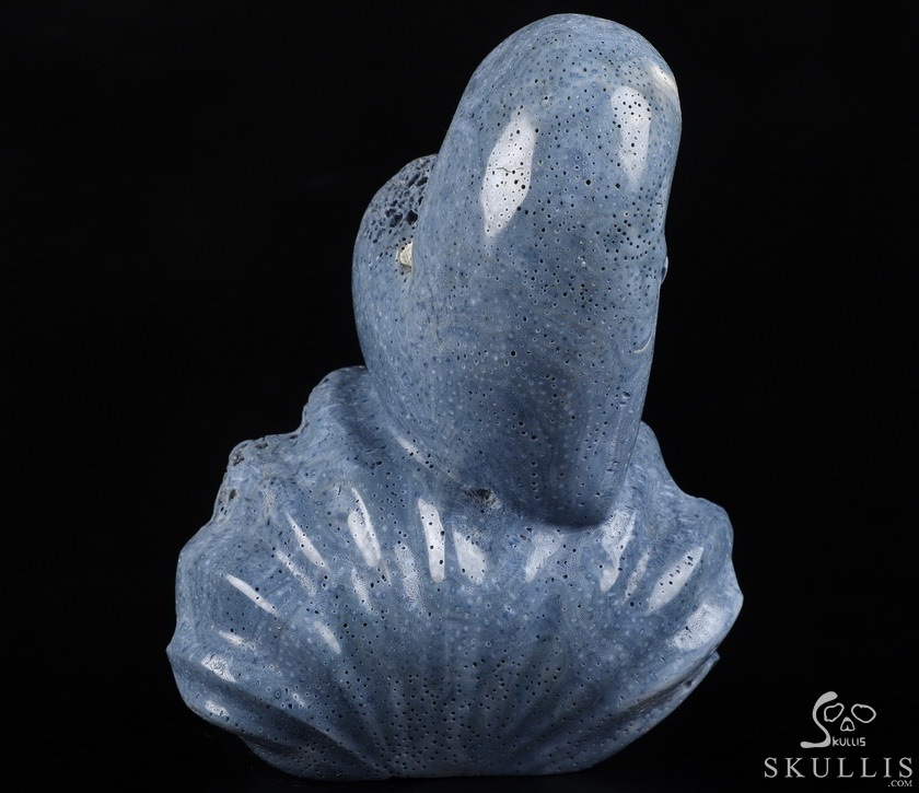 Love Forever 5.5" Blue Sponge Coral Carved Crystal Skull & Shell, Crystal Healing Love Forever 5.5" Blue Sponge Coral Carved Crystal Skull & Shell, Crystal Healing