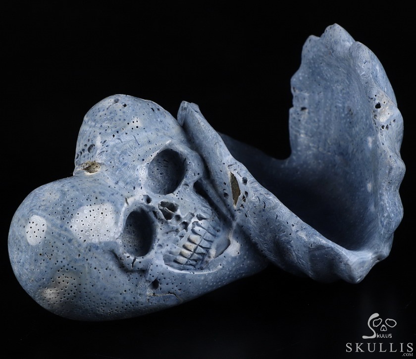Love Forever 5.5" Blue Sponge Coral Carved Crystal Skull & Shell, Crystal Healing Love Forever 5.5" Blue Sponge Coral Carved Crystal Skull & Shell, Crystal Healing