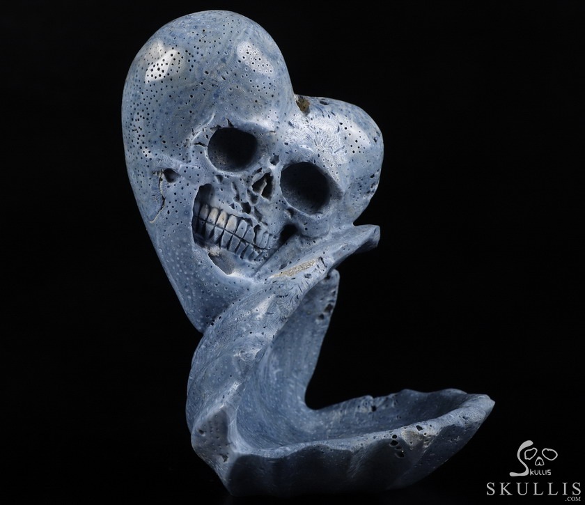 Love Forever 5.5" Blue Sponge Coral Carved Crystal Skull & Shell, Crystal Healing Love Forever 5.5" Blue Sponge Coral Carved Crystal Skull & Shell, Crystal Healing