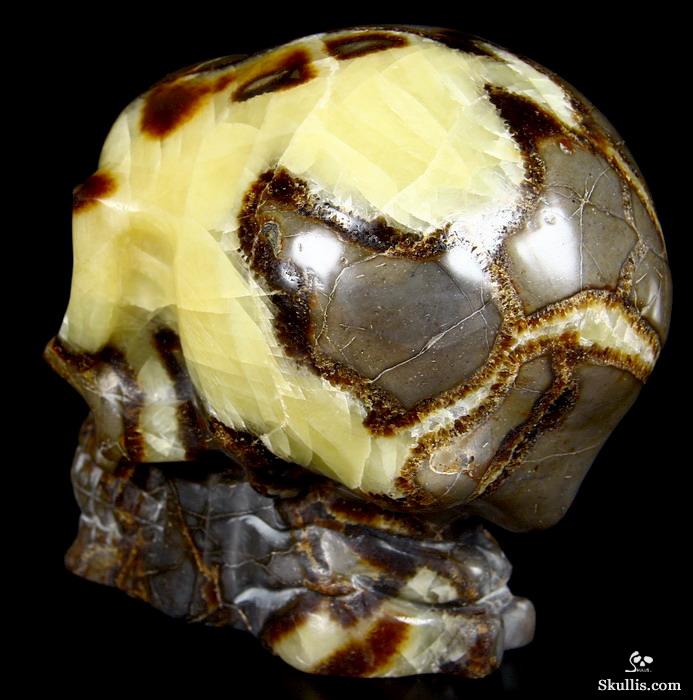 Huge 5.3" Dragon Septarian Stone Carved Crystal Alien Skull Huge 5.3" Dragon Septarian Stone Carved Crystal Alien Skull
