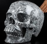 26.7LB Titan 10.0" Crocodile Jasper Carved Crystal Skull,Super Realistic, Crystal Healing