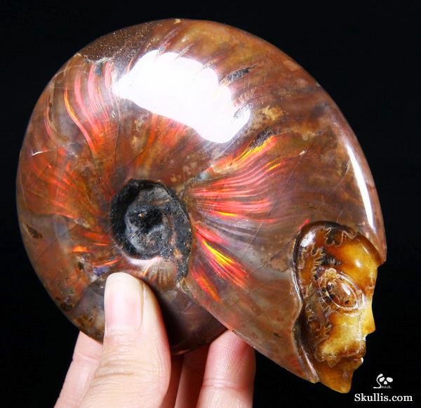 Ammonite Fossil Carved Crystal Star Being, Female Alien Ammonite Fossil Carved Crystal Star Being, Female Alien