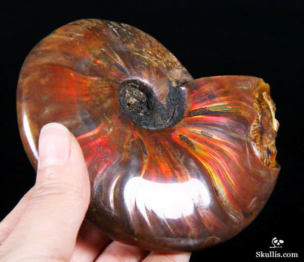 Ammonite Fossil Carved Crystal Star Being, Female Alien Ammonite Fossil Carved Crystal Star Being, Female Alien