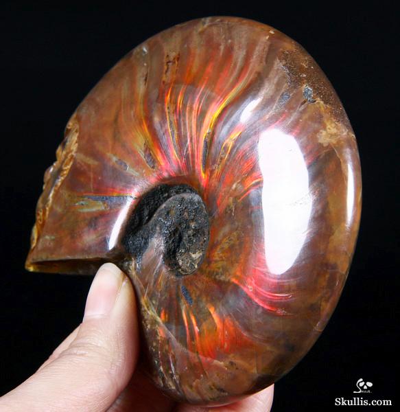 Ammonite Fossil Carved Crystal Star Being, Female Alien Ammonite Fossil Carved Crystal Star Being, Female Alien