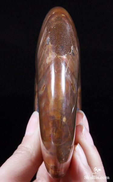 Ammonite Fossil Carved Crystal Star Being, Female Alien Ammonite Fossil Carved Crystal Star Being, Female Alien