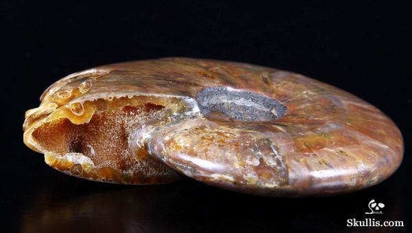 Ammonite Fossil Carved Crystal Star Being, Female Alien Ammonite Fossil Carved Crystal Star Being, Female Alien