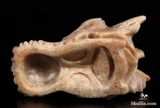 dragon dinosaur fossil