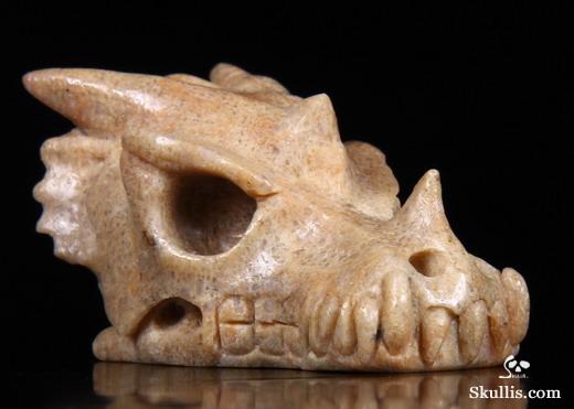 dragon dinosaur fossil