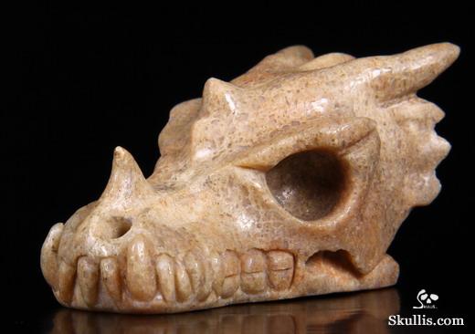 dragon dinosaur fossil