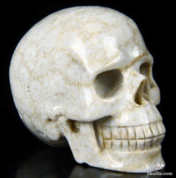 2.4" Coral Fossil Carved Crystal Skull, Realistic 2.4" Coral Fossil Carved Crystal Skull, Realistic