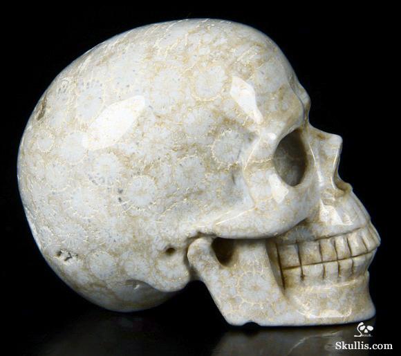 2.4" Coral Fossil Carved Crystal Skull, Realistic 2.4" Coral Fossil Carved Crystal Skull, Realistic