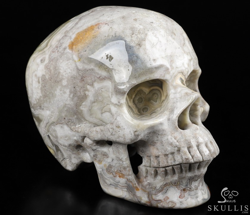 Huge 5.1" Red Crazy Lace Agate Carved Crystal Skull,Super Realistic, Crystal Healing Huge 5.1" Red Crazy Lace Agate Carved Crystal Skull,Super Realistic, Crystal Healing