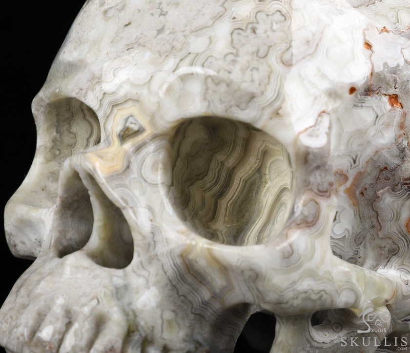 Huge 5.1" Red Crazy Lace Agate Carved Crystal Skull,Super Realistic, Crystal Healing Huge 5.1" Red Crazy Lace Agate Carved Crystal Skull,Super Realistic, Crystal Healing
