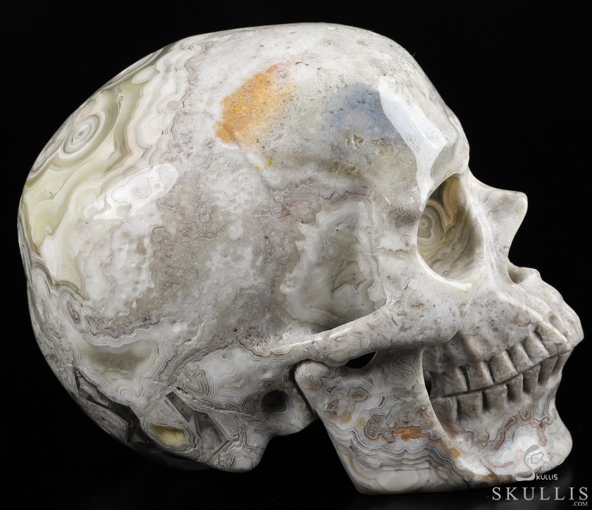 Huge 5.1" Red Crazy Lace Agate Carved Crystal Skull,Super Realistic, Crystal Healing Huge 5.1" Red Crazy Lace Agate Carved Crystal Skull,Super Realistic, Crystal Healing