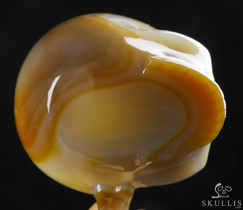 Skullis Minima - 2 oz Premium Brazilian Agate Skull Espresso Coffee Cup Skullis Minima - 2 oz Premium Brazilian Agate Skull Espresso Coffee Cup