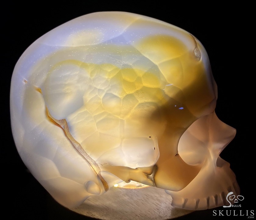 BEAUTIFUL LINES 4.8" Premium Brazilian Agate Carved Crystal Howllow Skull with Led Stand,Super Realistic, Crystal Healing BEAUTIFUL LINES 4.8" Premium Brazilian Agate Carved Crystal Howllow Skull with Led Stand,Super Realistic, Crystal Healing