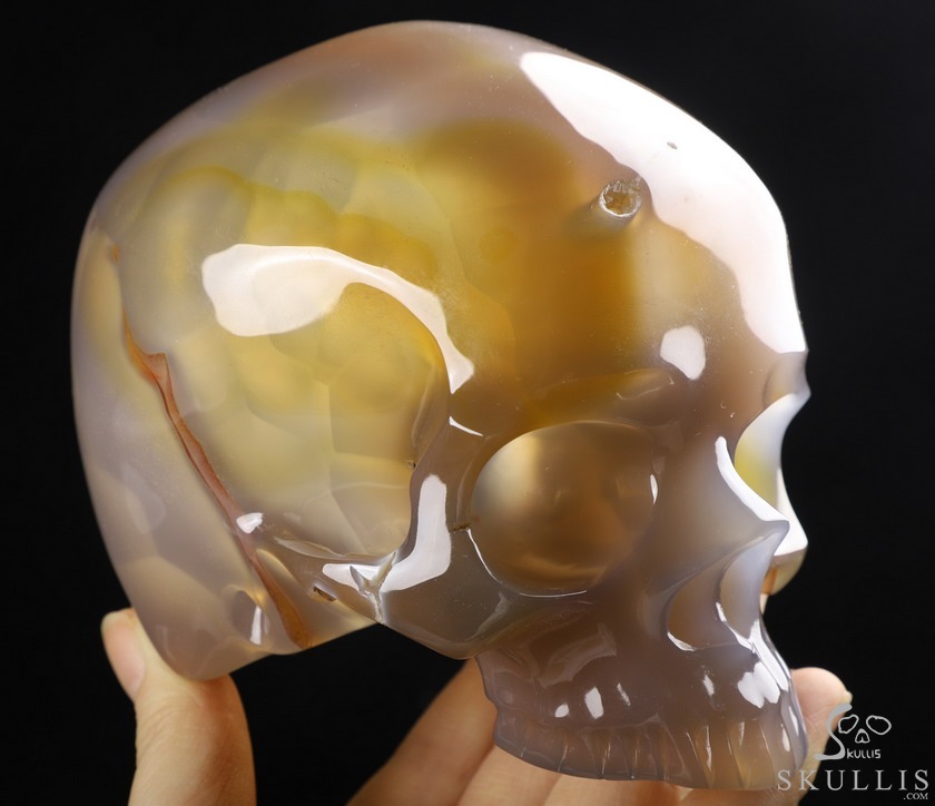 BEAUTIFUL LINES 4.8" Premium Brazilian Agate Carved Crystal Howllow Skull with Led Stand,Super Realistic, Crystal Healing BEAUTIFUL LINES 4.8" Premium Brazilian Agate Carved Crystal Howllow Skull with Led Stand,Super Realistic, Crystal Healing