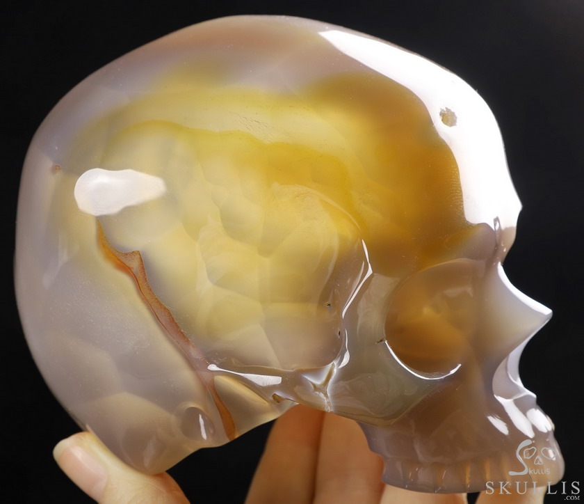 BEAUTIFUL LINES 4.8" Premium Brazilian Agate Carved Crystal Howllow Skull with Led Stand,Super Realistic, Crystal Healing BEAUTIFUL LINES 4.8" Premium Brazilian Agate Carved Crystal Howllow Skull with Led Stand,Super Realistic, Crystal Healing