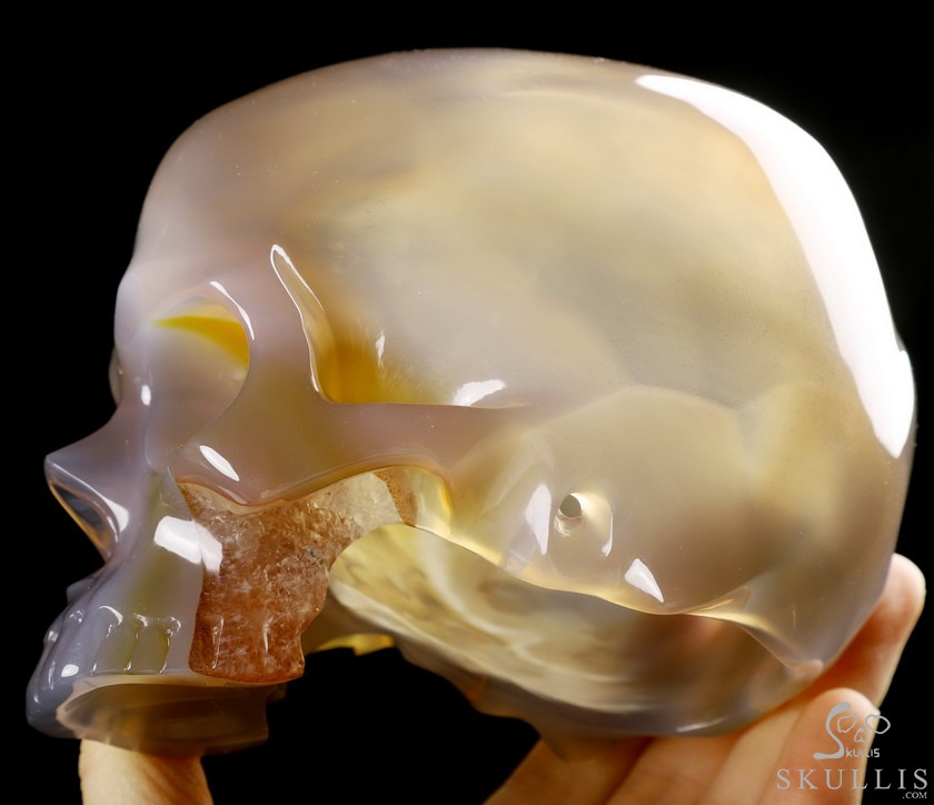 BEAUTIFUL LINES 4.8" Premium Brazilian Agate Carved Crystal Howllow Skull with Led Stand,Super Realistic, Crystal Healing BEAUTIFUL LINES 4.8" Premium Brazilian Agate Carved Crystal Howllow Skull with Led Stand,Super Realistic, Crystal Healing