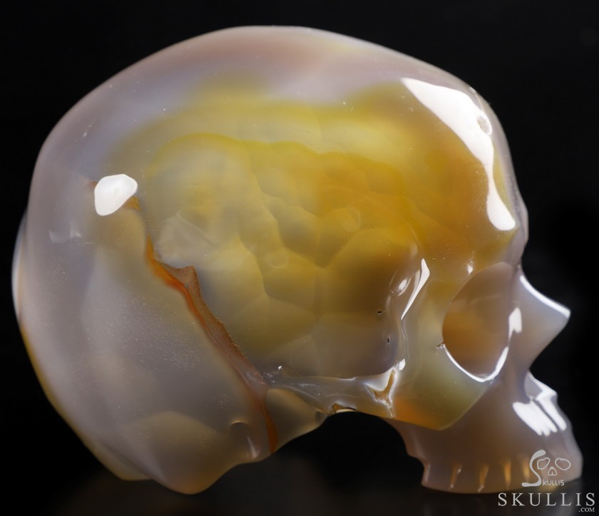 BEAUTIFUL LINES 4.8" Premium Brazilian Agate Carved Crystal Howllow Skull with Led Stand,Super Realistic, Crystal Healing BEAUTIFUL LINES 4.8" Premium Brazilian Agate Carved Crystal Howllow Skull with Led Stand,Super Realistic, Crystal Healing