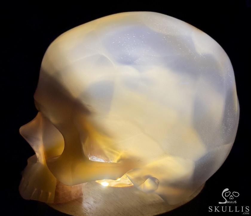 BEAUTIFUL LINES 4.8" Premium Brazilian Agate Carved Crystal Howllow Skull with Led Stand,Super Realistic, Crystal Healing BEAUTIFUL LINES 4.8" Premium Brazilian Agate Carved Crystal Howllow Skull with Led Stand,Super Realistic, Crystal Healing