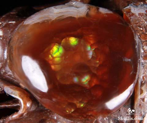 Sept 5, 2014 ACSAD (A Crystal Skull a Day) - The Pirate Corsair - Fire Agate Carved Crystal Skull Sculpture Sept 5, 2014 ACSAD (A Crystal Skull a Day) - The Pirate Corsair - Fire Agate Carved Crystal Skull Sculpture