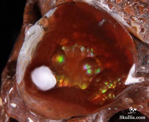 Sept 5, 2014 ACSAD (A Crystal Skull a Day) - The Pirate Corsair - Fire Agate Carved Crystal Skull Sculpture Sept 5, 2014 ACSAD (A Crystal Skull a Day) - The Pirate Corsair - Fire Agate Carved Crystal Skull Sculpture