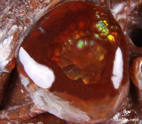 Sept 5, 2014 ACSAD (A Crystal Skull a Day) - The Pirate Corsair - Fire Agate Carved Crystal Skull Sculpture Sept 5, 2014 ACSAD (A Crystal Skull a Day) - The Pirate Corsair - Fire Agate Carved Crystal Skull Sculpture