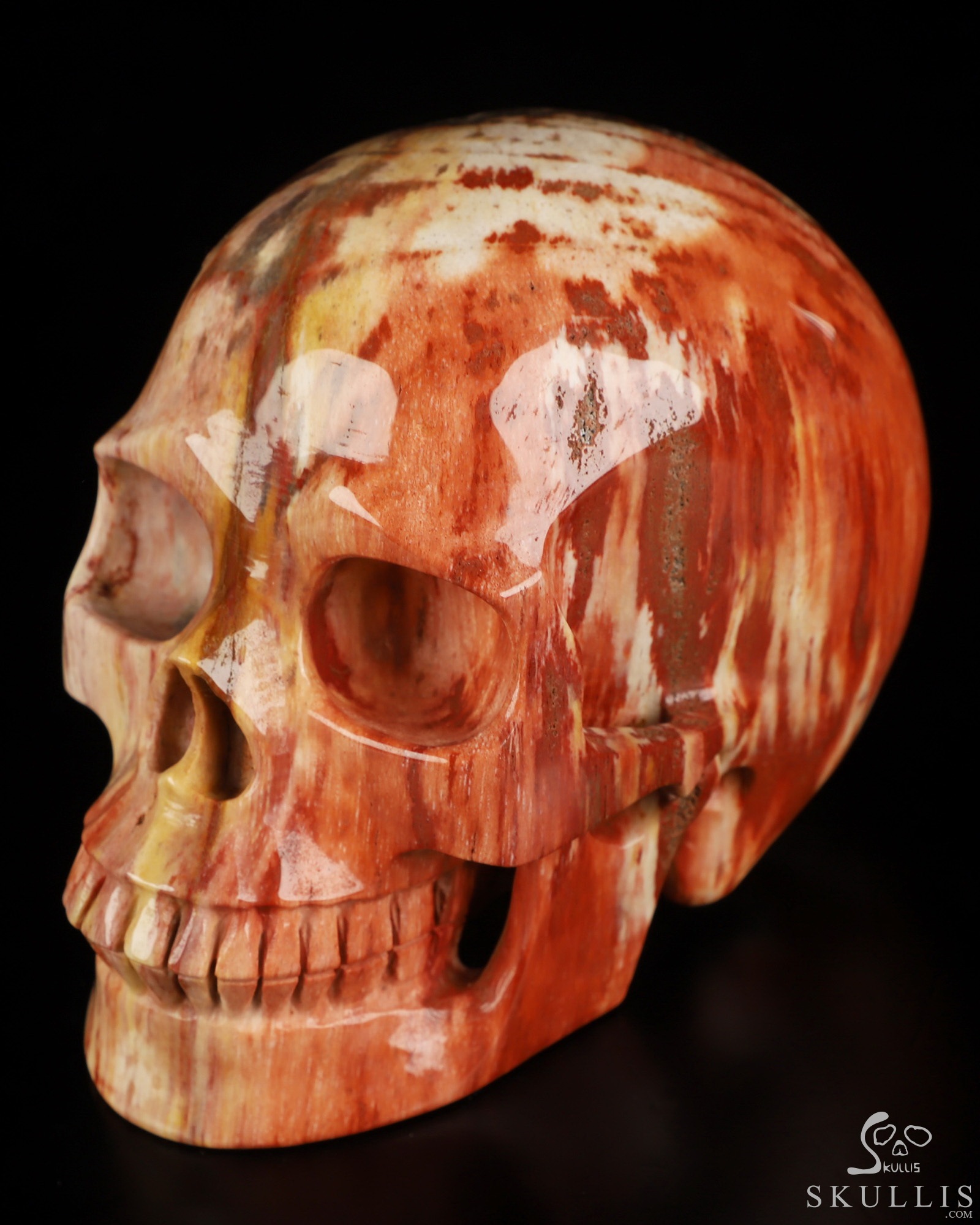 5.0" Petrified Wood Hand Carved Crystal Skull, Realistic, Crystal Healing 5.0" Petrified Wood Hand Carved Crystal Skull, Realistic, Crystal Healing