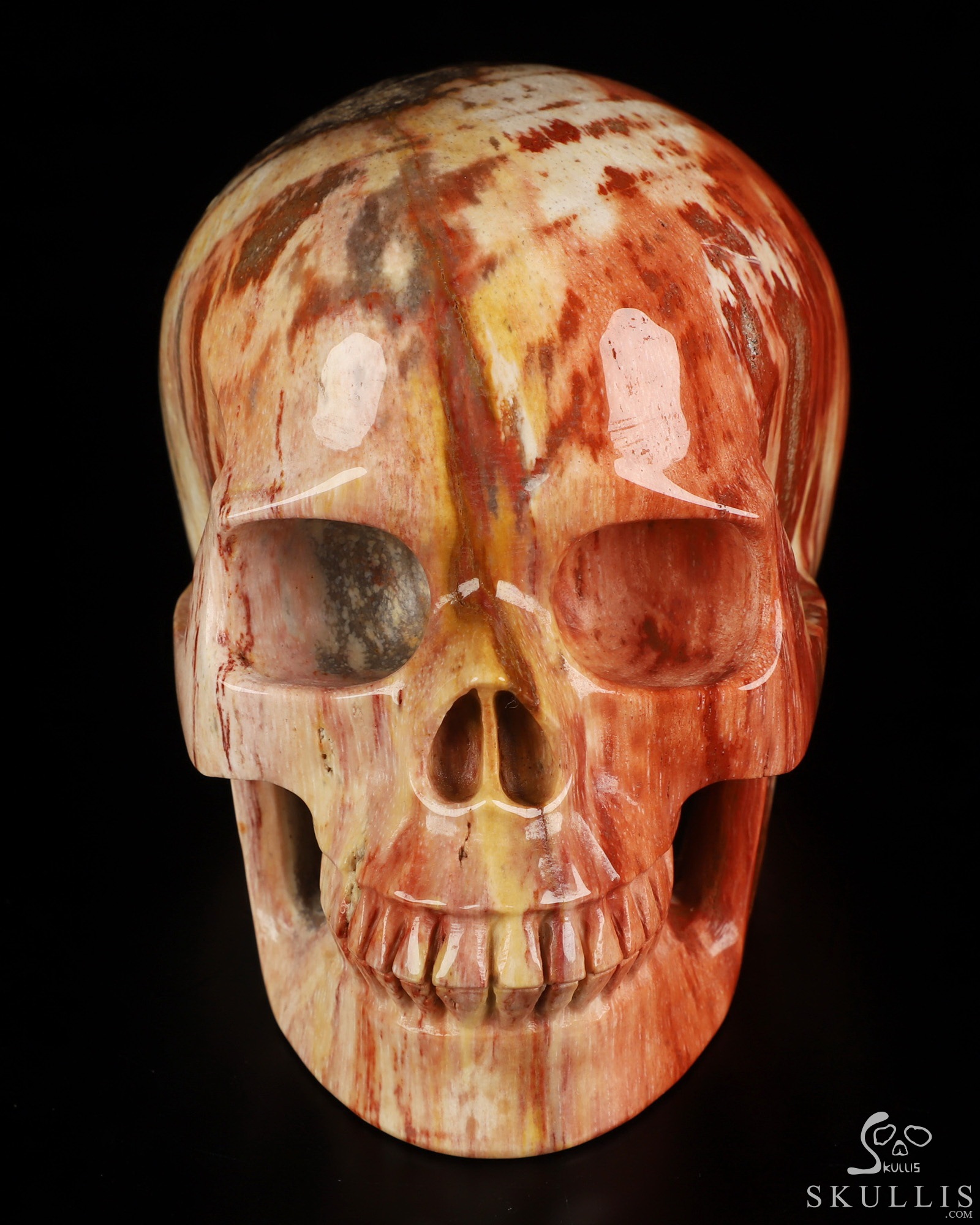 5.0" Petrified Wood Hand Carved Crystal Skull, Realistic, Crystal Healing 5.0" Petrified Wood Hand Carved Crystal Skull, Realistic, Crystal Healing