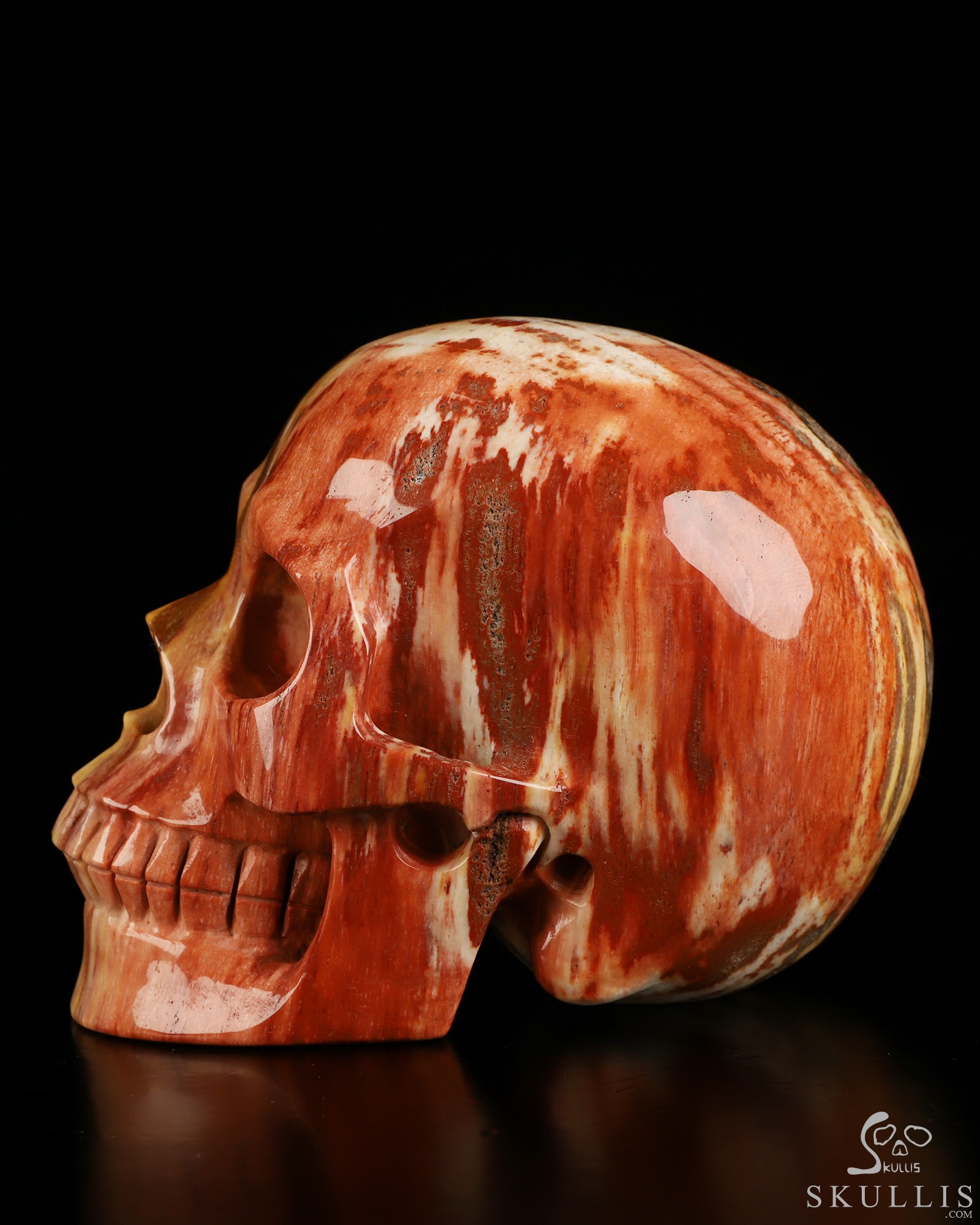5.0" Petrified Wood Hand Carved Crystal Skull, Realistic, Crystal Healing 5.0" Petrified Wood Hand Carved Crystal Skull, Realistic, Crystal Healing