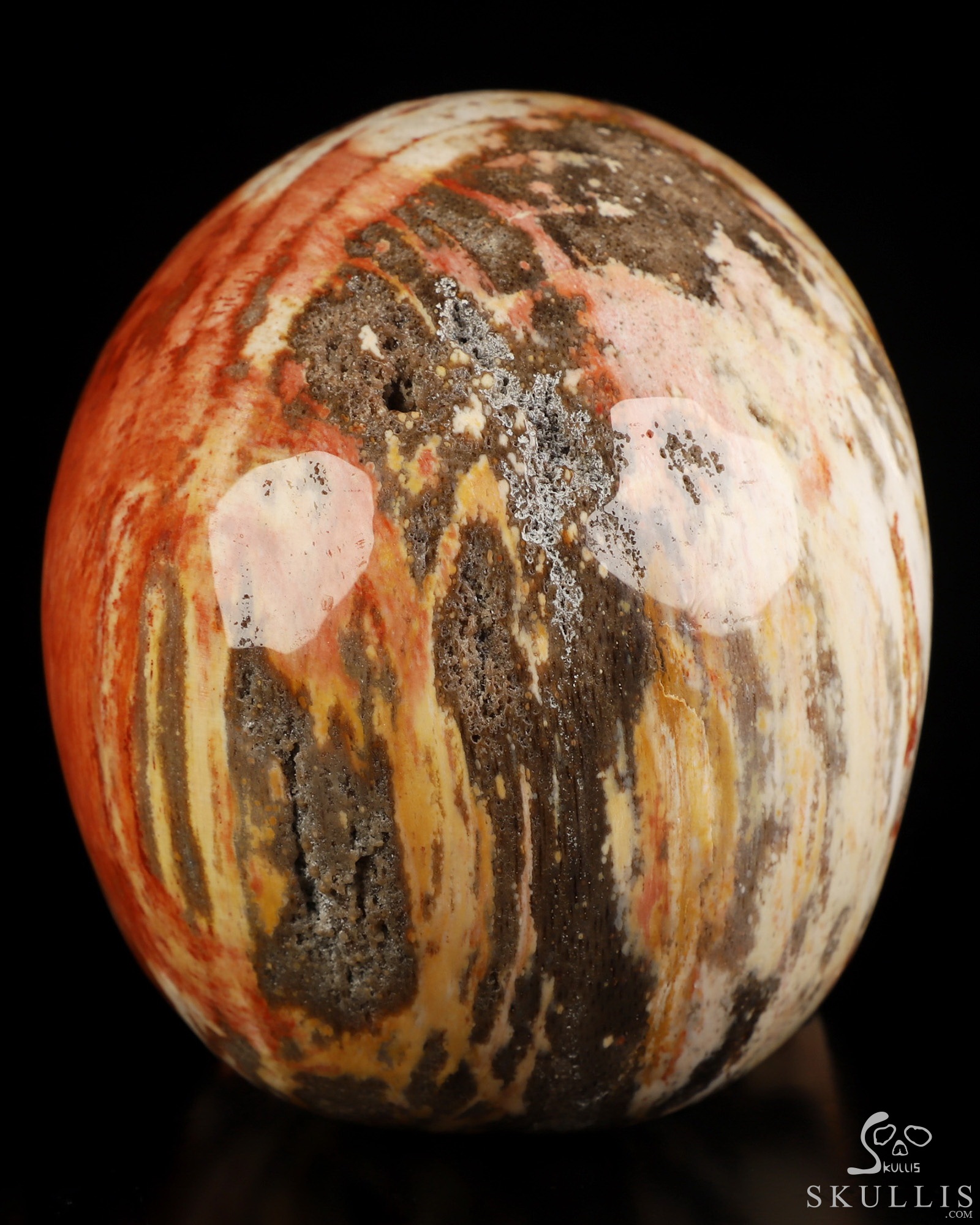 5.0" Petrified Wood Hand Carved Crystal Skull, Realistic, Crystal Healing 5.0" Petrified Wood Hand Carved Crystal Skull, Realistic, Crystal Healing