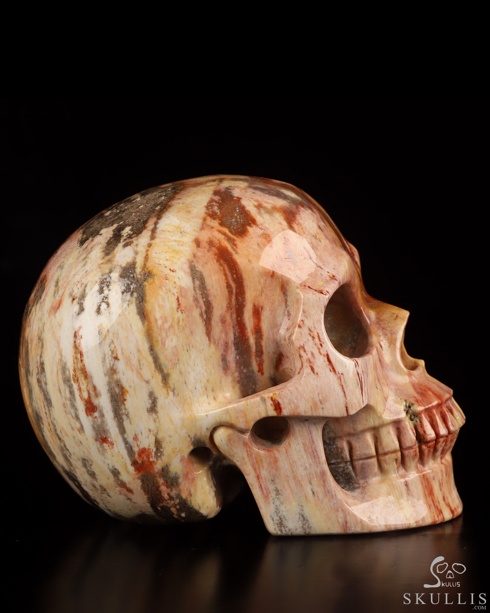 5.0" Petrified Wood Hand Carved Crystal Skull, Realistic, Crystal Healing 5.0" Petrified Wood Hand Carved Crystal Skull, Realistic, Crystal Healing