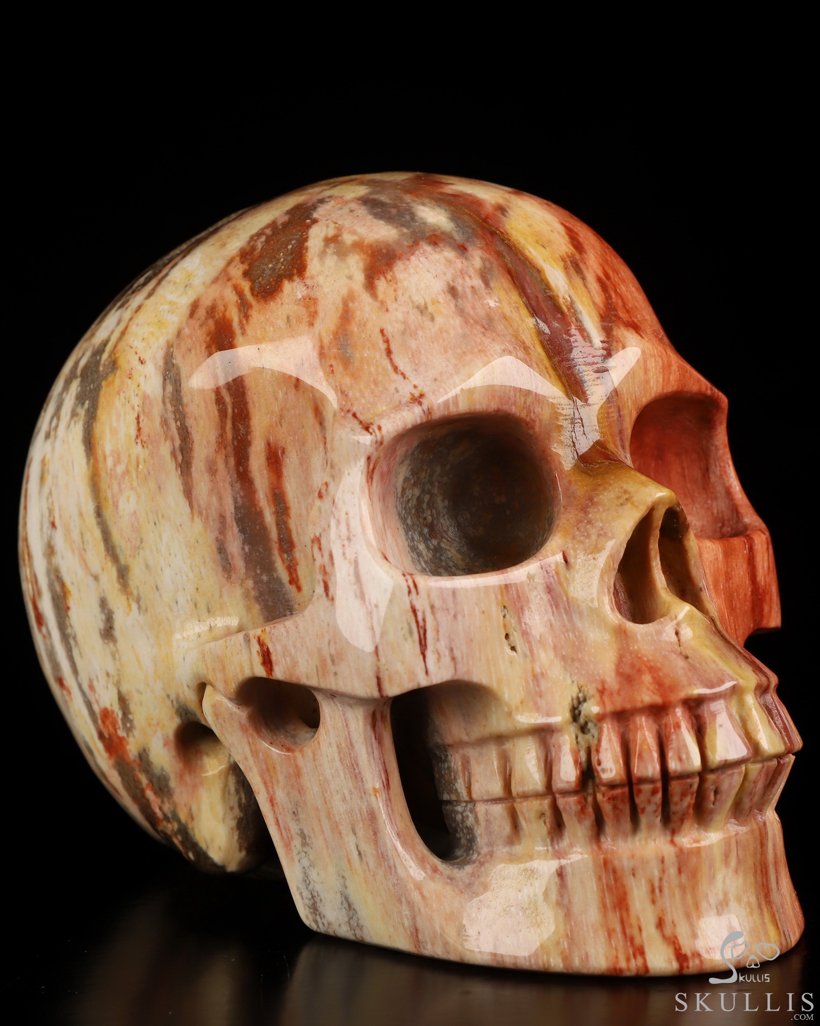 5.0" Petrified Wood Hand Carved Crystal Skull, Realistic, Crystal Healing 5.0" Petrified Wood Hand Carved Crystal Skull, Realistic, Crystal Healing