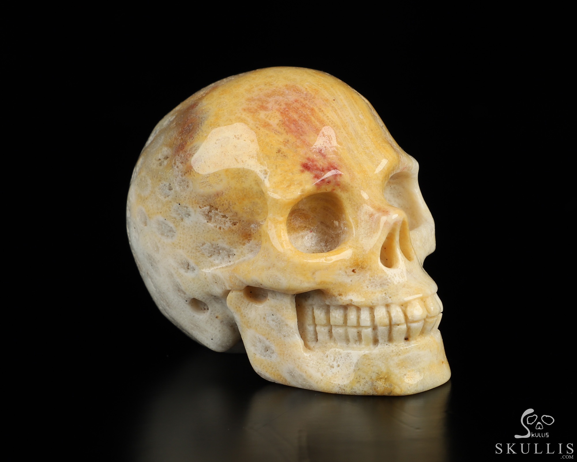 2.0" Coral Fossil Hand Carved Crystal Skull, Realistic, Crystal Healing 2.0" Coral Fossil Hand Carved Crystal Skull, Realistic, Crystal Healing