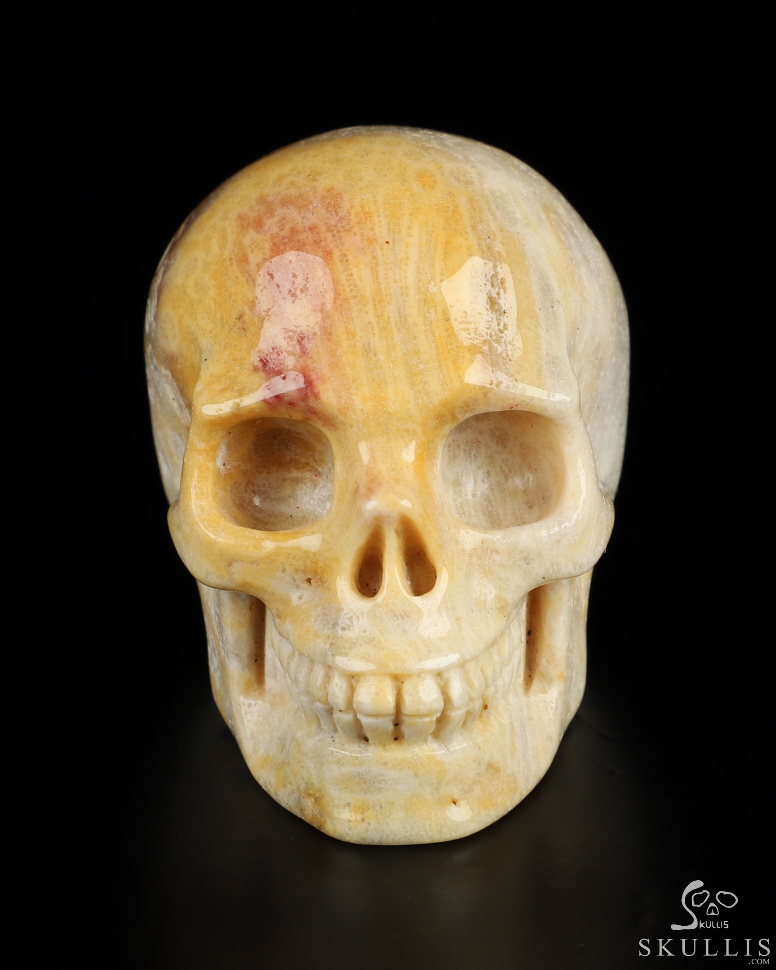 2.0" Coral Fossil Hand Carved Crystal Skull, Realistic, Crystal Healing 2.0" Coral Fossil Hand Carved Crystal Skull, Realistic, Crystal Healing