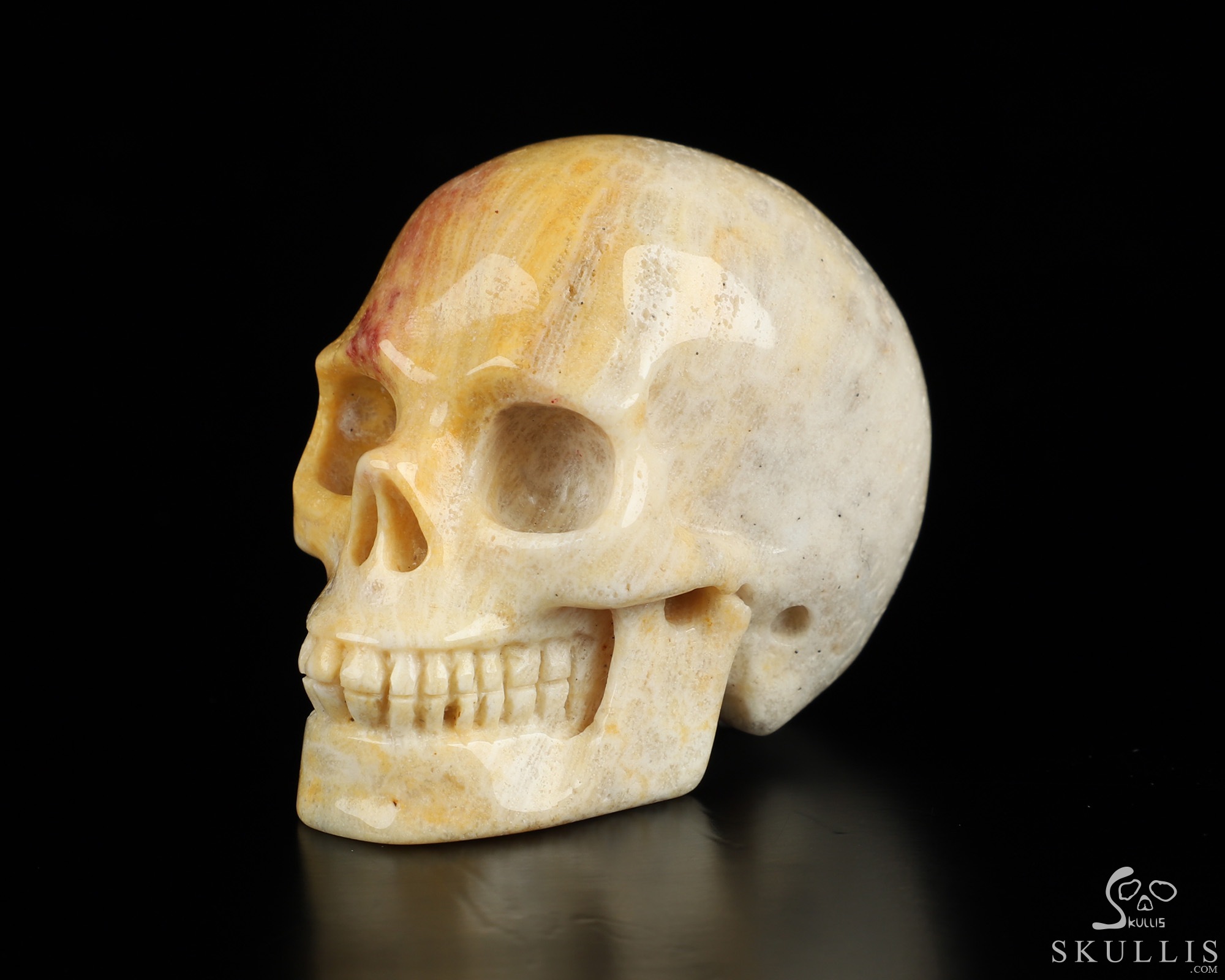 2.0" Coral Fossil Hand Carved Crystal Skull, Realistic, Crystal Healing 2.0" Coral Fossil Hand Carved Crystal Skull, Realistic, Crystal Healing