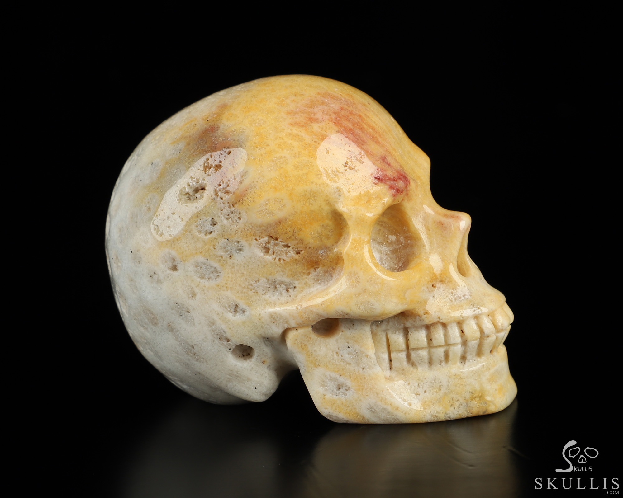 2.0" Coral Fossil Hand Carved Crystal Skull, Realistic, Crystal Healing 2.0" Coral Fossil Hand Carved Crystal Skull, Realistic, Crystal Healing