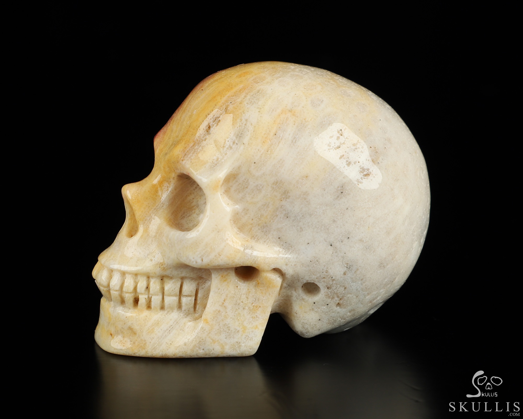 2.0" Coral Fossil Hand Carved Crystal Skull, Realistic, Crystal Healing 2.0" Coral Fossil Hand Carved Crystal Skull, Realistic, Crystal Healing