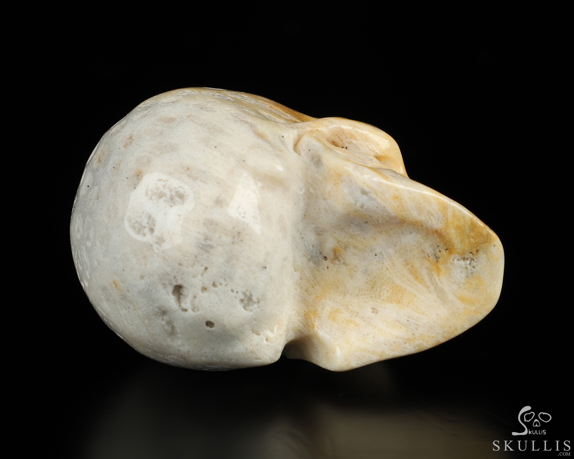 2.0" Coral Fossil Hand Carved Crystal Skull, Realistic, Crystal Healing 2.0" Coral Fossil Hand Carved Crystal Skull, Realistic, Crystal Healing